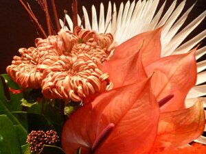 yAWgzAX[ e XL~A TS~YL Xe r[V ppXOX