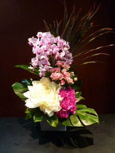 _A  Ӓ t@mvVX _A _A Xv[osNJ[l[V Xe hZi