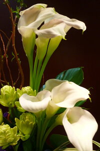 J[  m[u[ AWTC e s|} J Xe hS ~XJTX