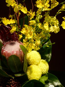 veA IVW[ XL~A e s|}hS Xe