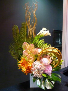 yAWgz \ec LOveA ZA  v[g j