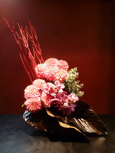 yAWgz_A  o_ [J O ԃAX[̗t `o[CjAi