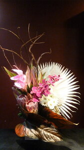 【アレンジメント】ビローヤシ 胡蝶蘭 プロテア カラー ガーベラ ブルニアドラセナ 石化柳 チャンバーレイニアナム