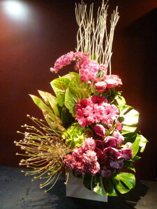 yAWgzӒ@o@K[x@o_@AWTC@AX[@hZi