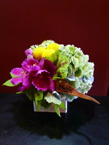 yAWgzo_ AWTC s|} I[j\K