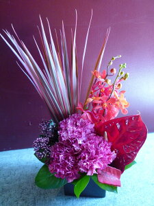 yAWgzJ[l[V AX[ J hZi XL~Abh