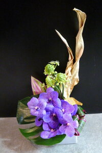 yAWgzXg`A[t o_ I[j\K hZi Xe