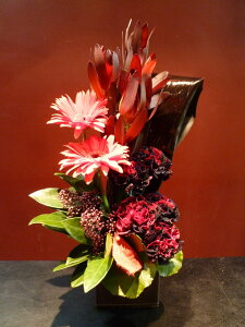 yAWgzK[x J[l[V EJfh XL~A ubN[t