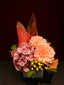 yAWgzsNAWTC sNK[x AX[ qyJ hZi t@C[o[h