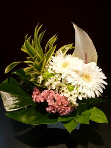 K[x I[j\K TfV[ AX[ PCgE hZi Xe