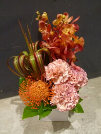 楽天市場 ピンクッション フラワーアレンジメント 花 観葉植物 花 ガーデン Diyの通販