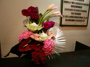 _A@J[@LOveA@o@AWTC@ybp[x[