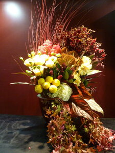 IVW[@Xv[o@s|LN@AWTC@K[x@AX[@ACr[@XL~A@bhEB[