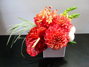 yAWgzԃ_A AX[ I[j\K J s|} ~XJTX