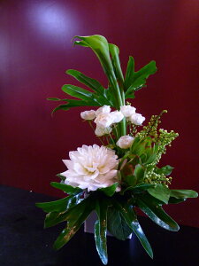 yAWgzXv[o _A J[  EJfh