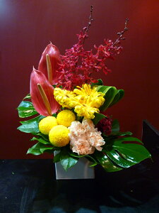 yAWgzIVW[ F K[x AX[ s|} J[l[V V}n Xe