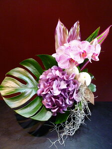 yAWgzӒ AWTC s|} hZi Xe XpjbVX GA[vc