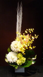 yAWgz_A IVW[ J[l[V Xe hZi