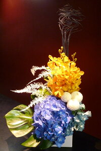 yAWgzAWTC XC[gs[ J s|} JjV_ Xe