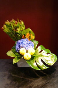 yAWgzAWTC I[j\K s|} EJfh Xe