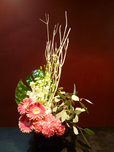 yAWgzNO ft@ sNK[x J[l[V [J Xe