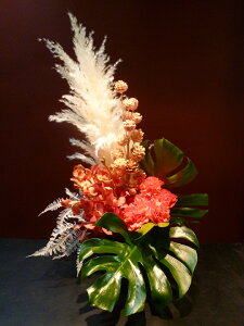 花 パンパスグラス 生花の人気商品 通販 価格比較 価格 Com