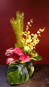 yAWgz IVW[ K[x AX[ } ttO Xe