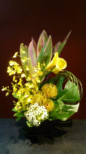 yAWgzFJ[  IVW[ FsNbV I[j\K hZi Xe