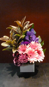 yAWgz o_ K[x J[l[V hZi Xe