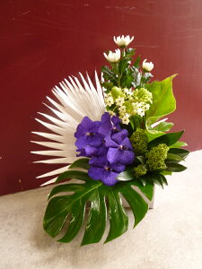 yAWgzr[V  o_ Xe I[j\K XL~A e } AXE