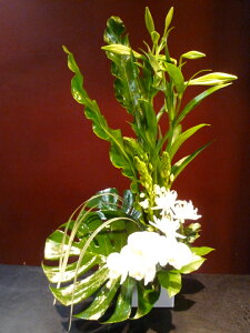 yAWgzeb|E I[j\K e Ӓ Xe ^j^ ~XJTX