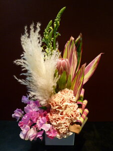 yAWgzveA I[j\K XC[gs[ J[l[V ppXOX hZi