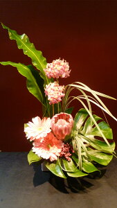 yAWgzGrfh sNK[x veA ^j^ Xe ~XJTX ybp[x[