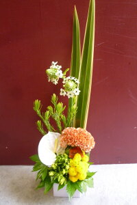 yAWgzAX[ PCgE } jETC I[j\K [Jfh