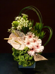 yAWgzK[x AX[ I[j\K XL~A [Jfh