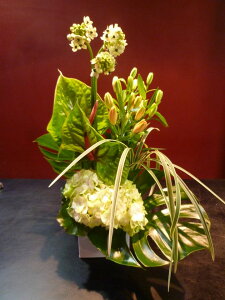 yAWgz AX[ I[j\K  Xe ~XJTX