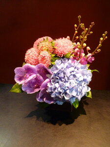 yAWgzAX^[ AWTC o_ J [t