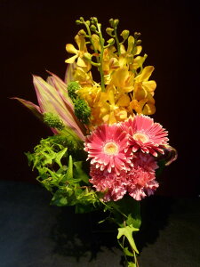 yAWgzK[x J[l[V J hZi ACr[