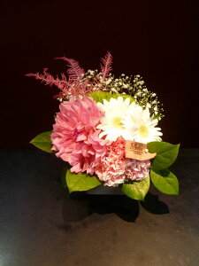 yAWgz_A J[l[V K[x JjV_ [t ݑ