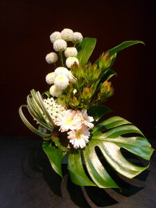 yAWgzXv[} [Jfh K[x I[j\K Xe X`[OX