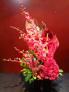 yAWgz IVW[ AX[ XL~A J[l[V hZi Ag Xe