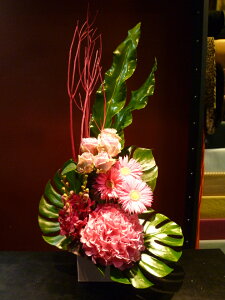 yAWgzsÑAWTC z o K[x J  O^j^ Xe