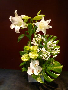 yAWgz R`E O[AWg S Ӓ gRMLEAE Rj[ Xe