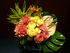 yAWgz_A Xv[o F iLX I[j\KAX[ XL~A Xe hZi