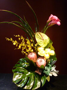 yAWgz[ veA Xv[o Xv[}߃IVW[ Xe hZi _XeB[~[