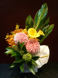 yAWgz_A J[ AX[ J XL~AhZi h[~[