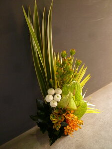 yAWgzs|} AX[ AX[ o[Jfh jETC J