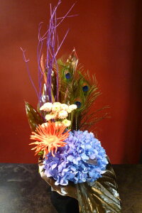 yAWgzAWTC ẺH ~c}^ hZi`o[CjAi K[x }