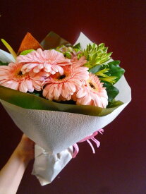 楽天市場 シンプル 花束 切花 花 観葉植物 花 ガーデン Diyの通販