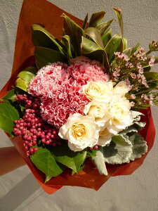 o J[l[V bNXt[ ybp[x[ _XeB~[ hZi